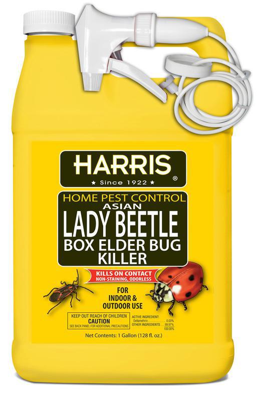 Harris Potted Plant Insect Traps for Gnats, Aphids, Whiteflies and