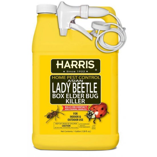 Harris Fruit Fly Trap, Fruit Fly Killer for Indoors, 6oz - PF Harris