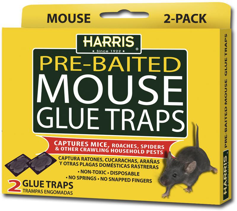 Harris Rat Glue Trap