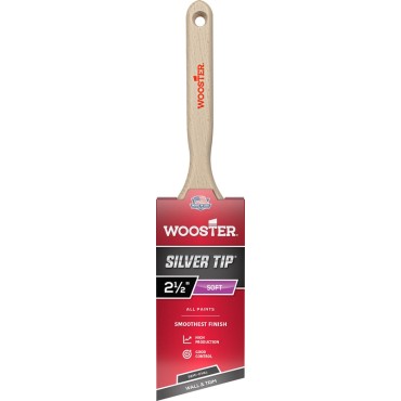 5228 2.5 AS SILVER TIP BRUSH