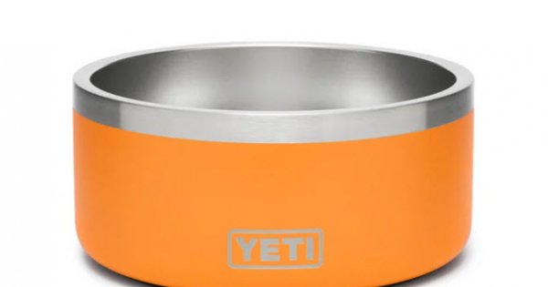 Best Yeti 20 oz Tumbler with Nut Up and Win the Dang Day